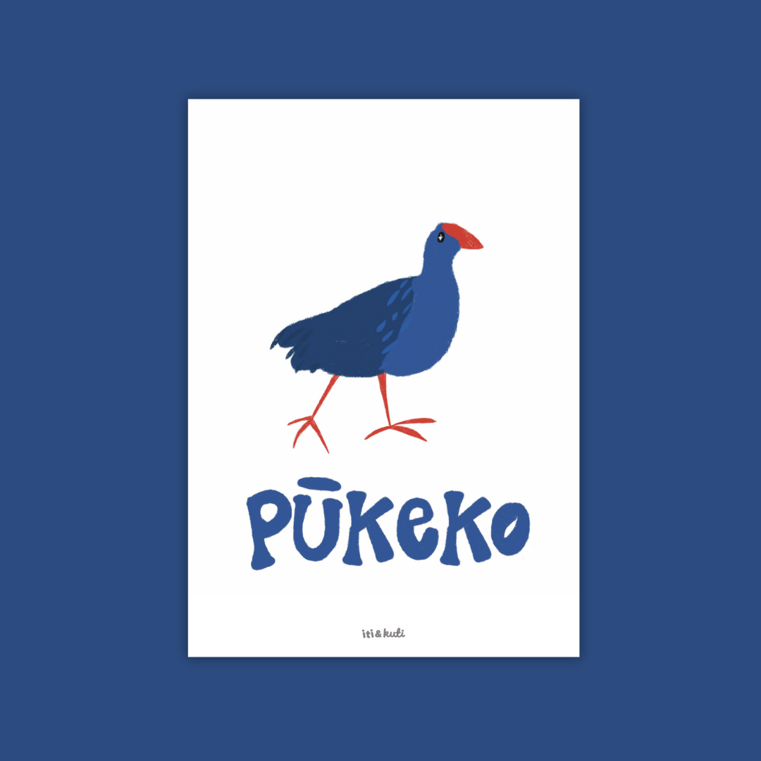 Pūkeko • Swamphen