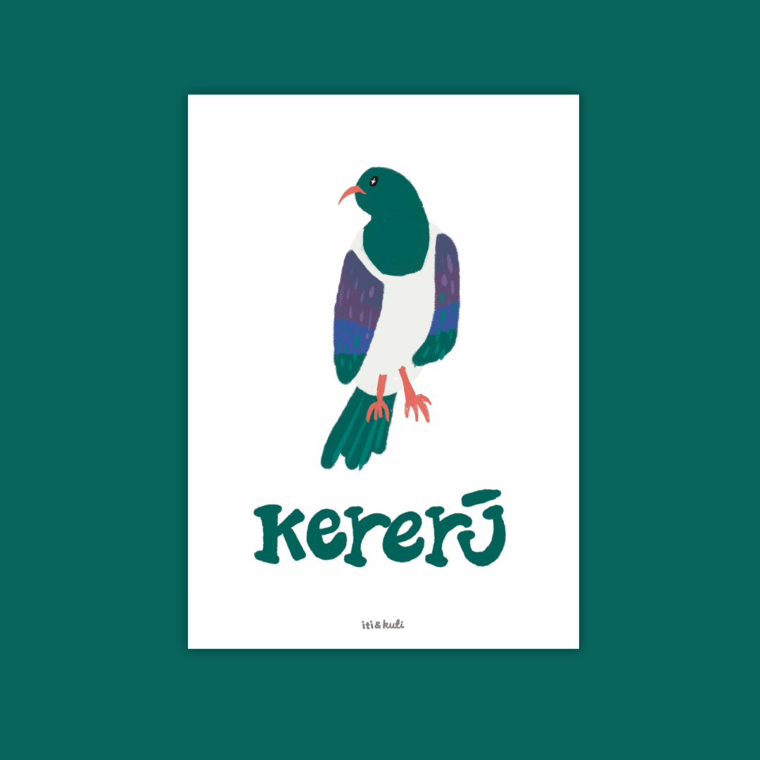 Kererū • Wood Pigeon