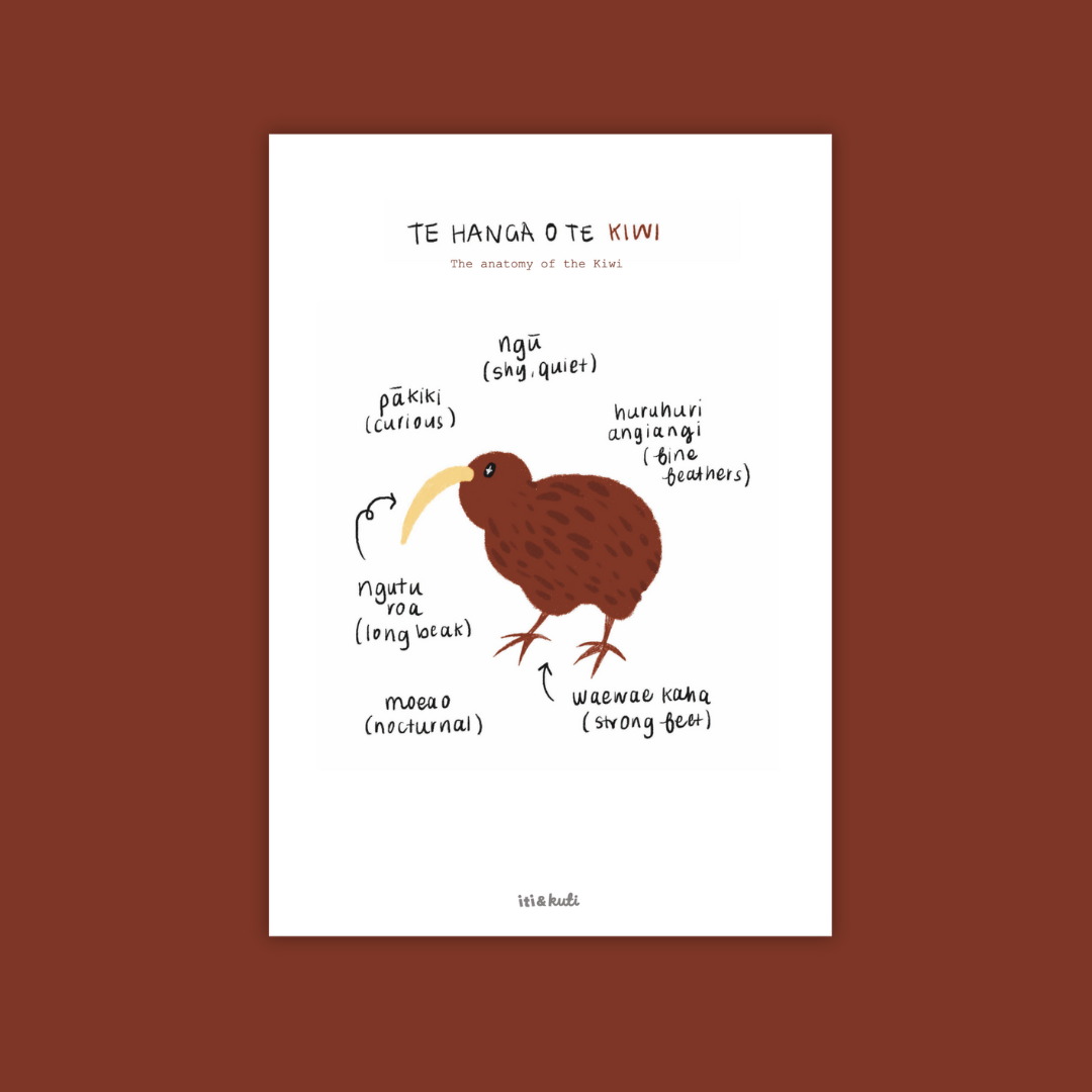 Te hanga o te Kiwi • The anatomy of the Kiwi
